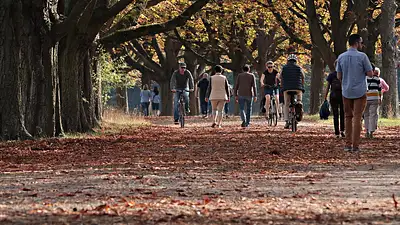 Najlepsze miejsca na spacer w Gdańsku – przewodnik 2025